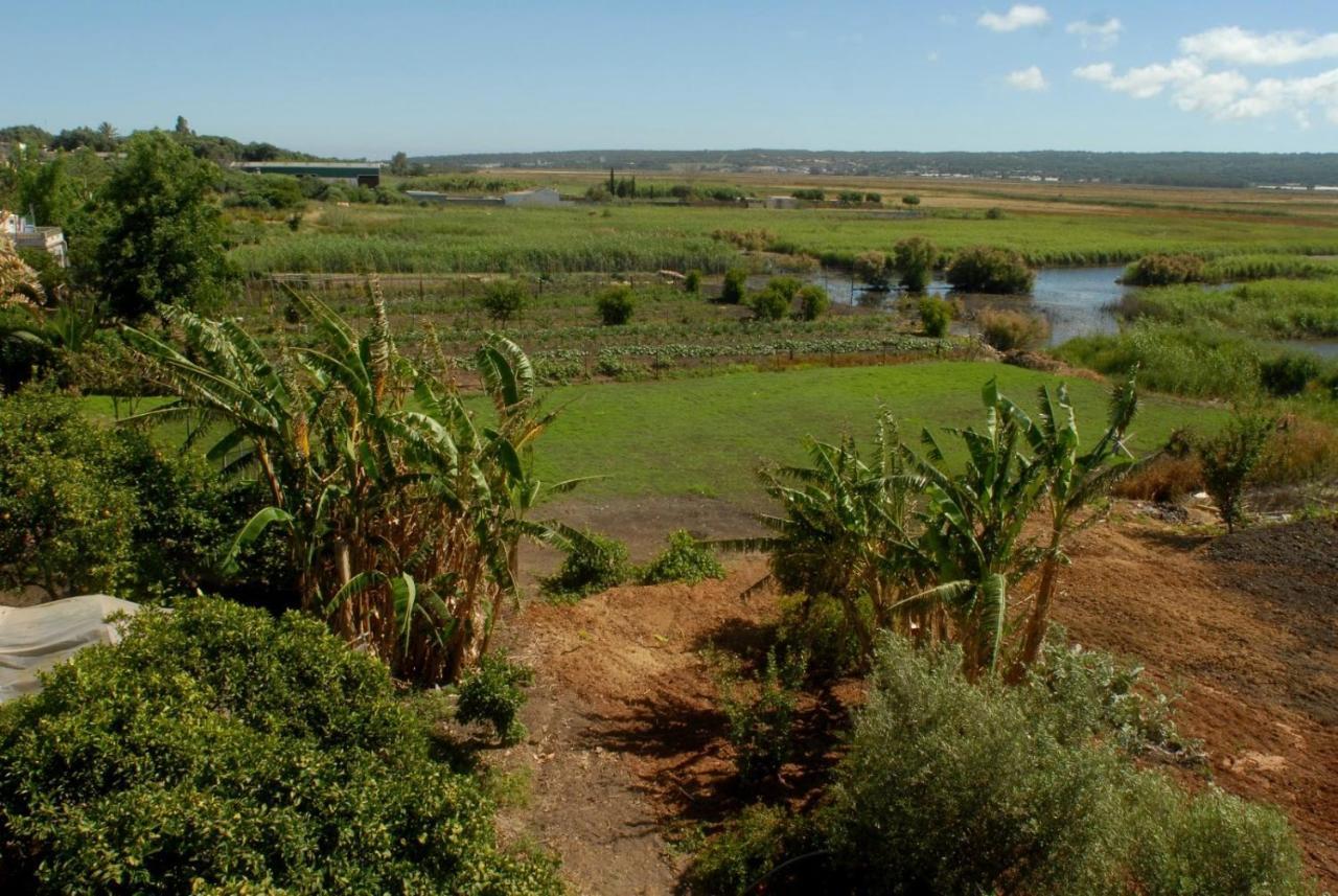 Pueblos Blancos Vejer de la Frontera Bagian luar foto