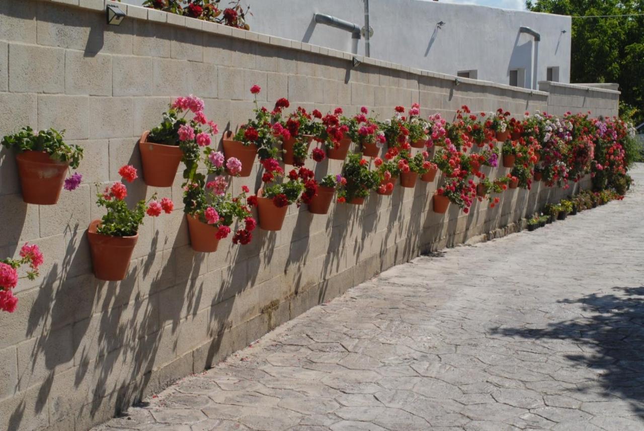 Pueblos Blancos Vejer de la Frontera Bagian luar foto